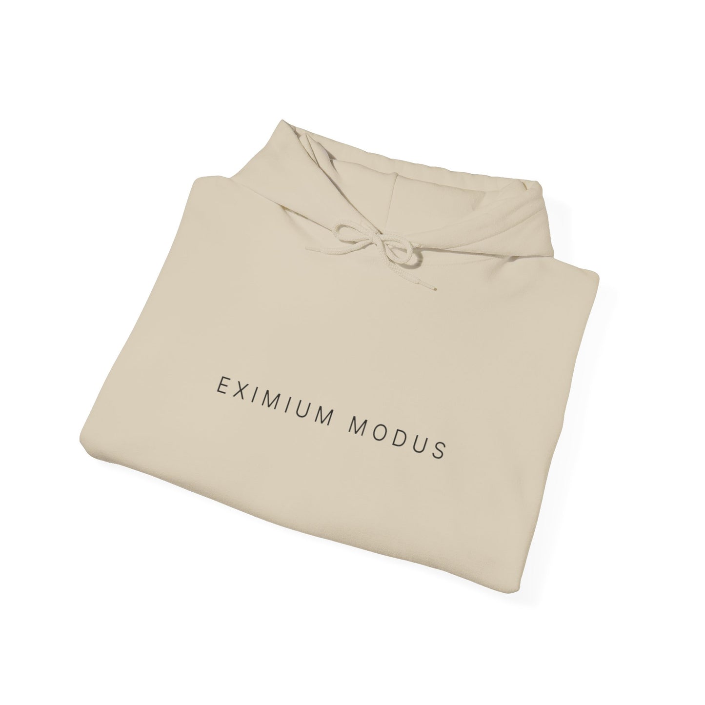 The Quiet Hoodie