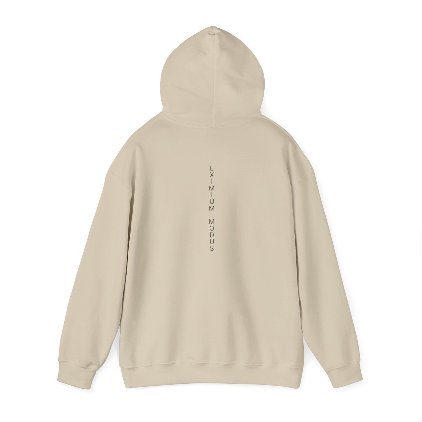 The Quiet Hoodie
