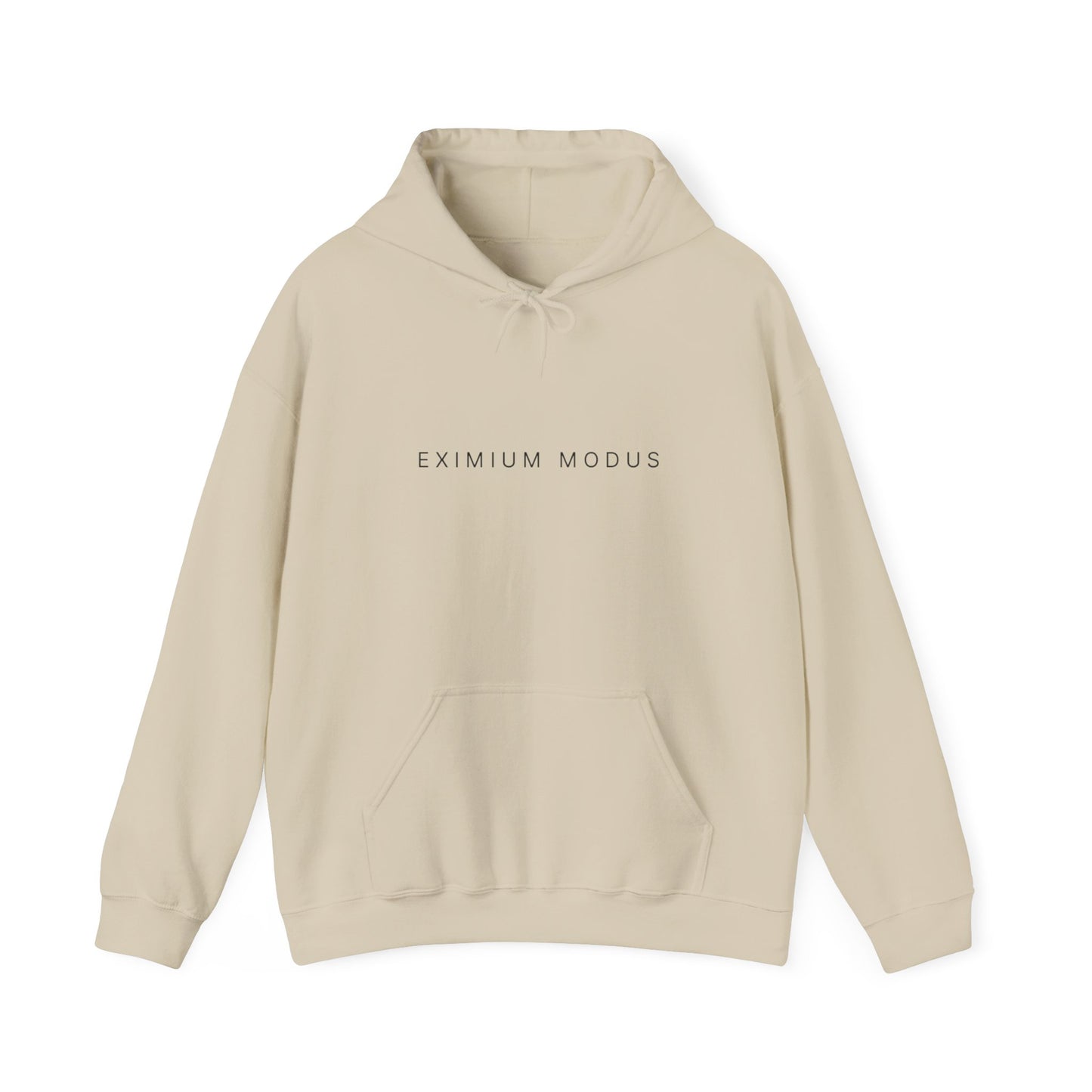 The Quiet Hoodie