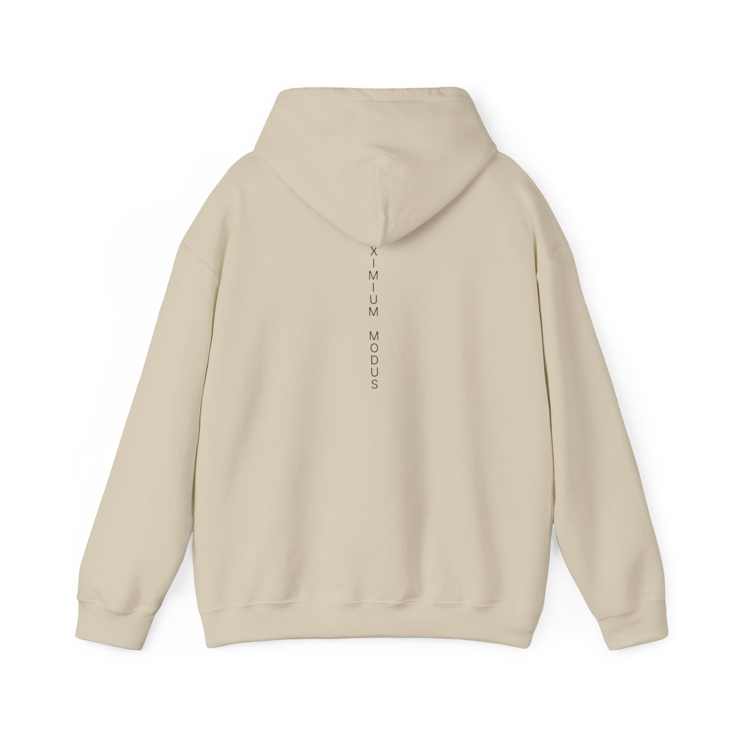 The Quiet Hoodie