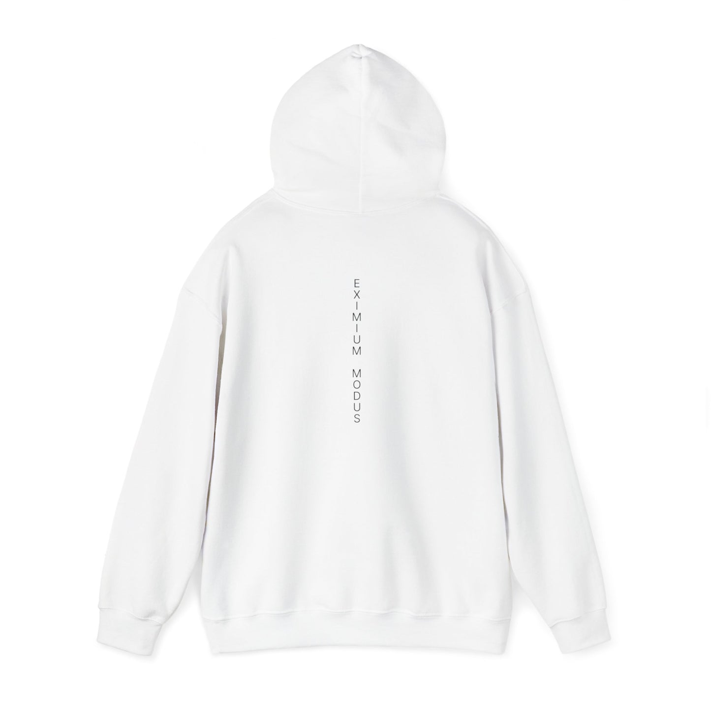 The Quiet Hoodie