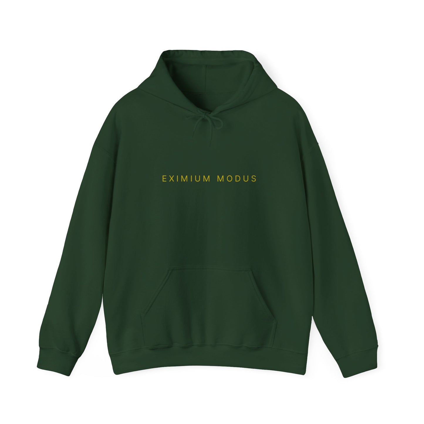 The Quiet Hoodie