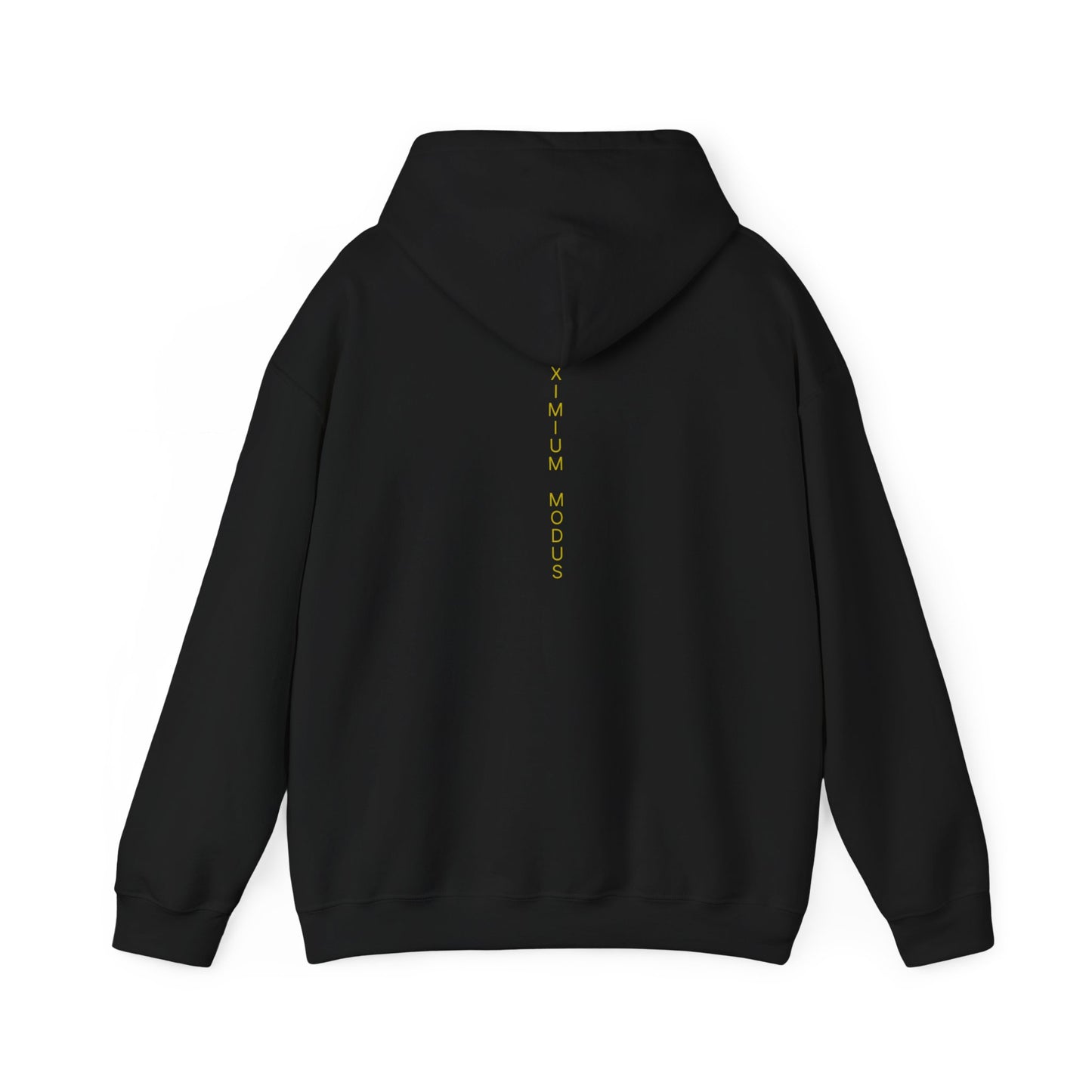 The Quiet Hoodie
