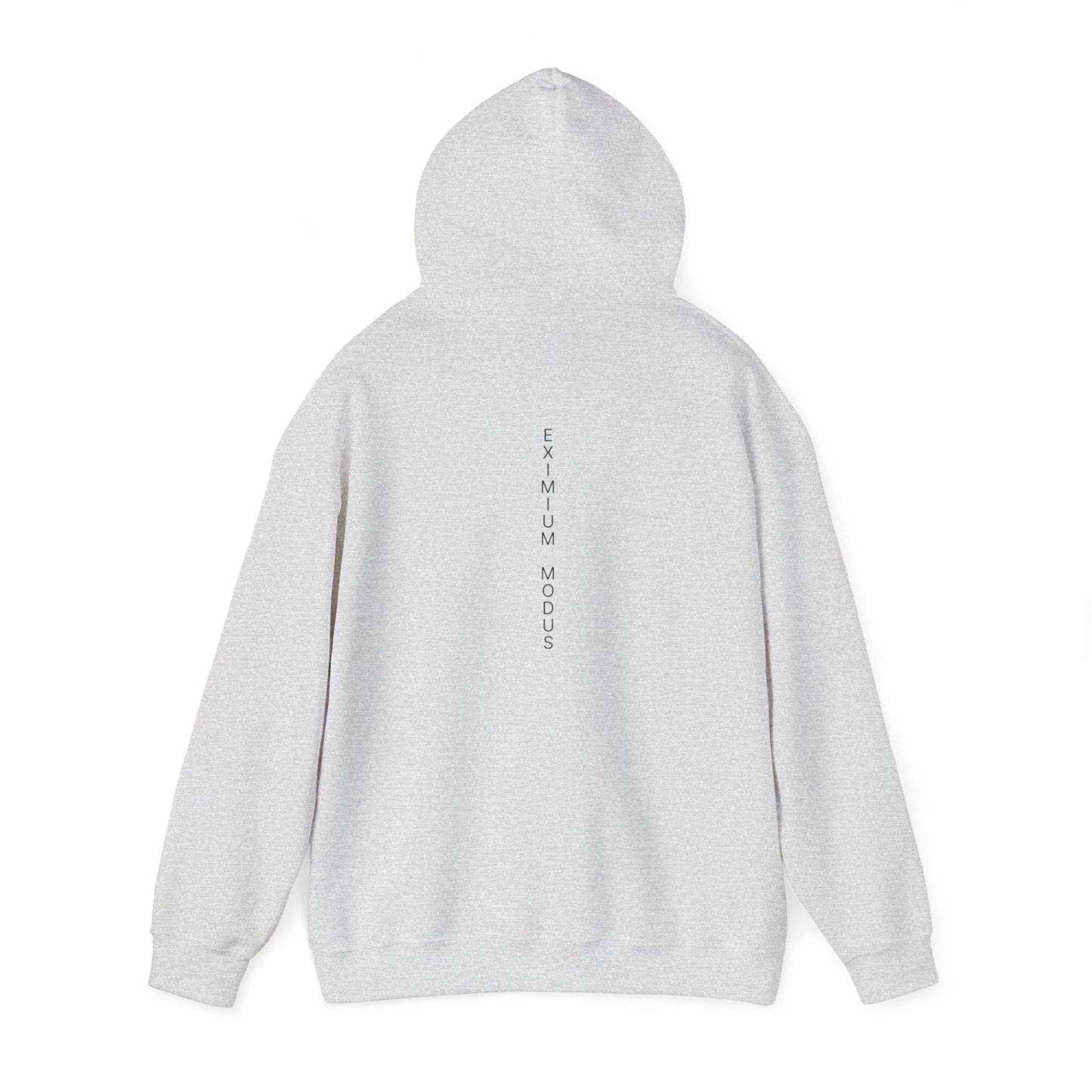 The Quiet Hoodie