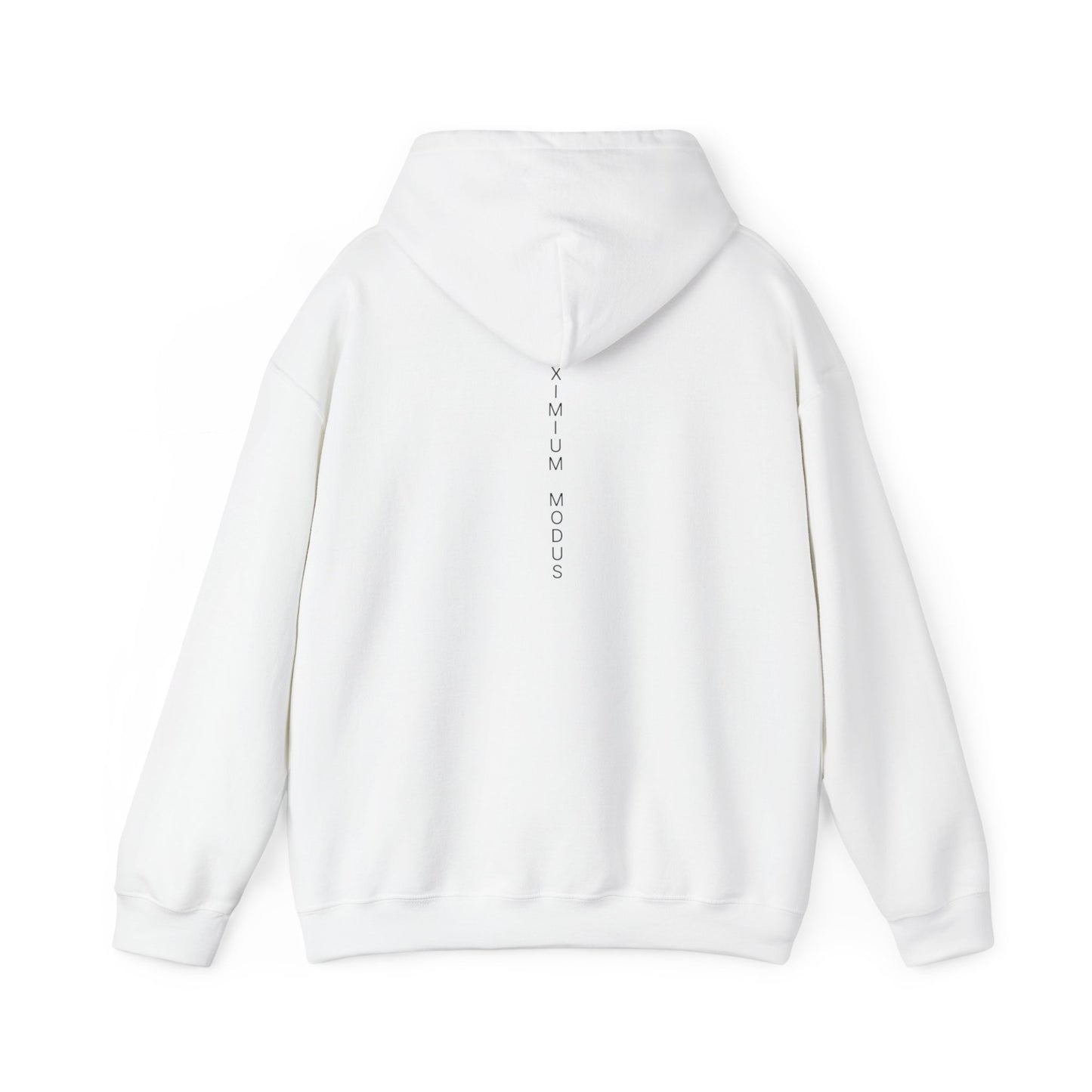 The Quiet Hoodie