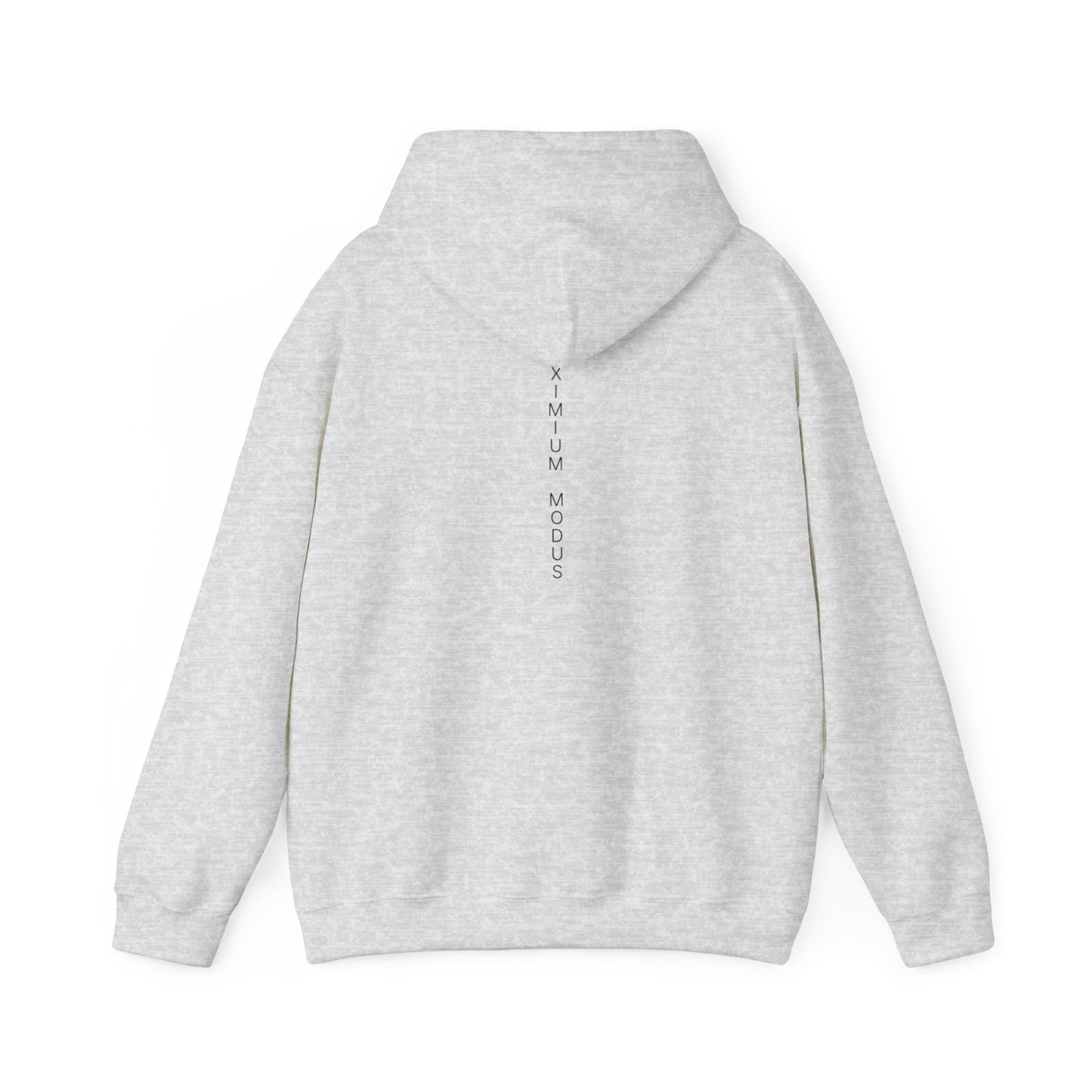The Quiet Hoodie