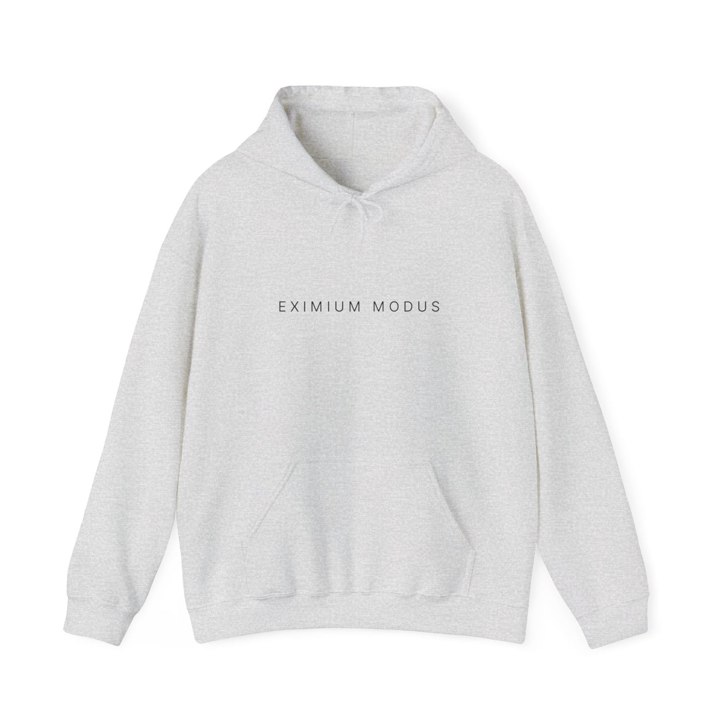 The Quiet Hoodie