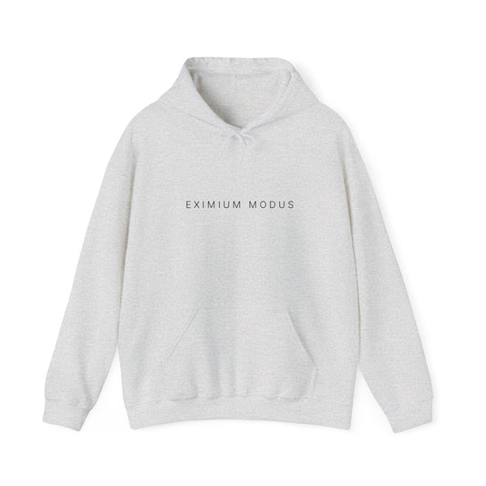 The Quiet Hoodie