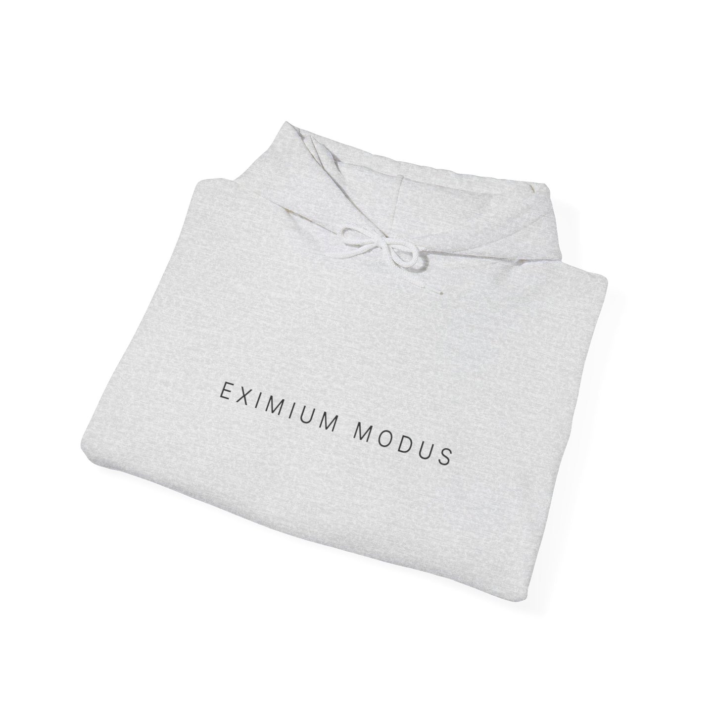 The Quiet Hoodie