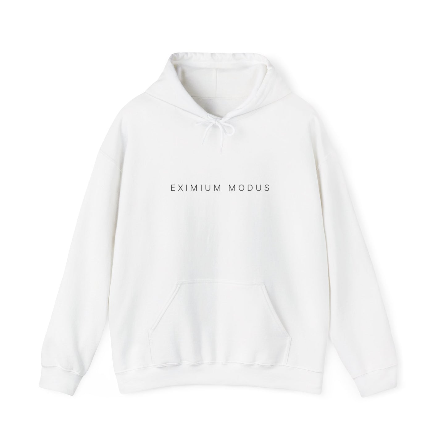 The Quiet Hoodie